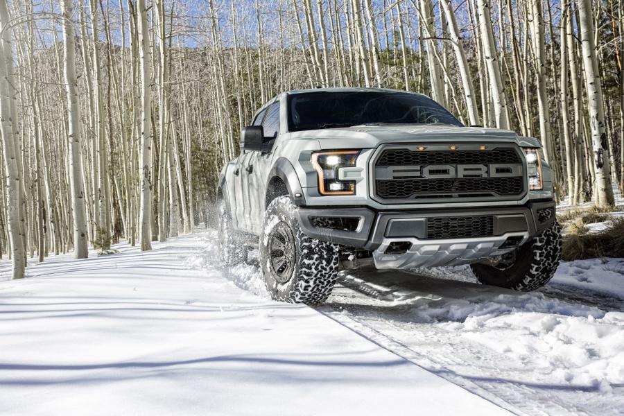  Ford F-150 Raptor SuperCrew 2016 года  (фото 5 из 10)